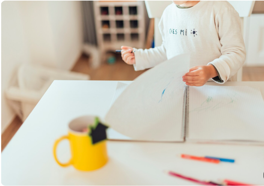 Curriculum for Home Education: A Complete Guide to Planning Effective Homeschooling for Children 610